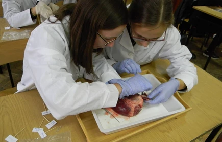 Małopolska Chmura Edukacyjna w I LO - galeria 5