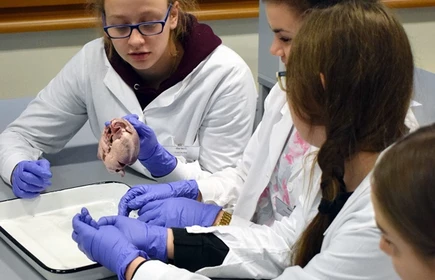 Biologia na UJ - galeria 7