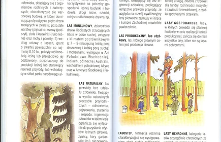 Przyroda Ziemi Bocheńskej 28