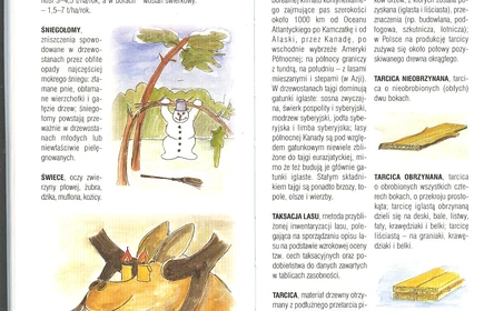 Przyroda Ziemi Bocheńskej 64