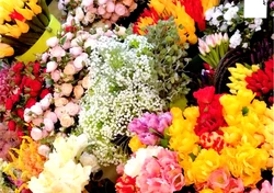 Na zdjęciu multum kwiatów w kwiaciarni 