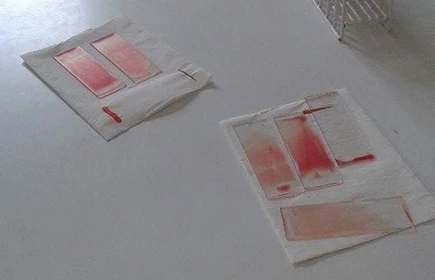 Dzień  Przedsiębiorczości  2016 25