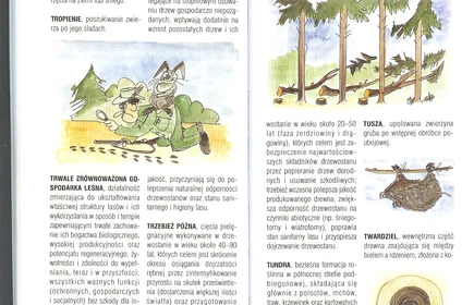 Przyroda Ziemi Bocheńskej 66