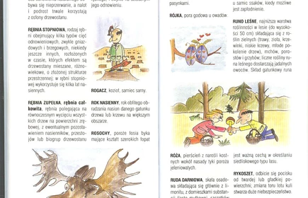 Przyroda Ziemi Bocheńskej 54