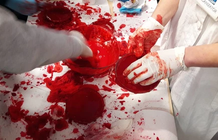 Noc biolog&oacute;w w Krakowie - galeria 13