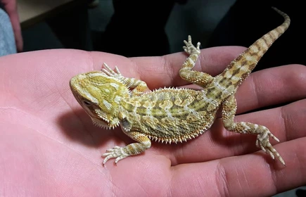 Noc biolog&oacute;w w Krakowie - galeria 3