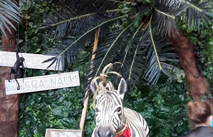 Targi Edukacyjne 2019 - galeria 15