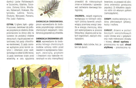 Przyroda Ziemi Bocheńskej 78