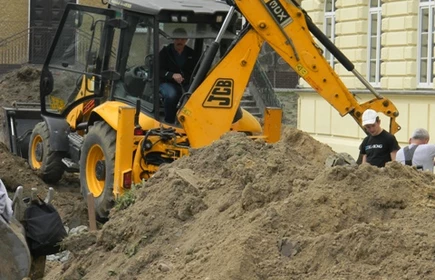 Zieleńce przed naszą szkołą 3