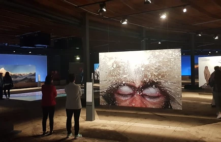 Licealiści w Niemczech - galeria 21