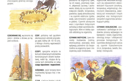 Przyroda Ziemi Bocheńskej 5