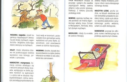 Przyroda Ziemi Bocheńskej 36