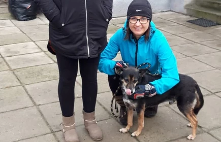 Nie kupuj &ndash; zaadoptuj - galeria 5