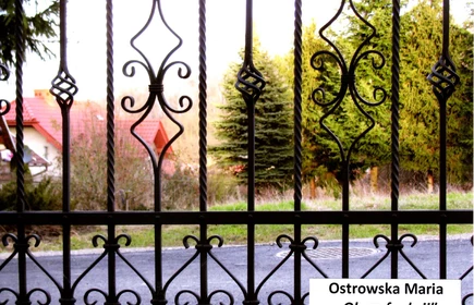 Zdjęcie przedstawia dom oraz drzewa zdjęcie wykonane przez kraty