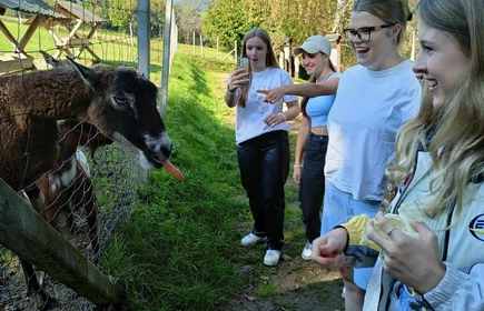 Dzieci karmią kozę