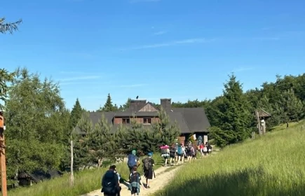 dzici przy schronisku