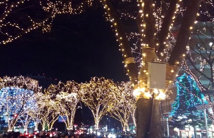 Julia Piątkowska w Japonii - galeria 9