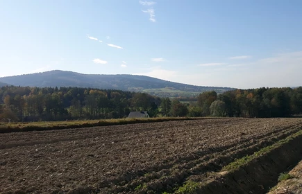 Szlakiem cmentarzy - galeria 16