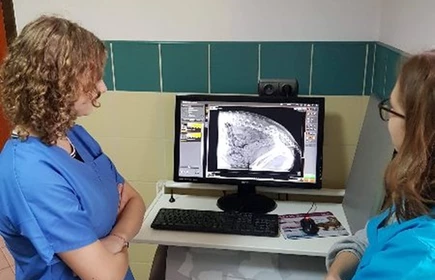 Dzień Przedsiębiorczości 2019 - galeria 26