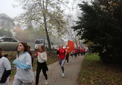 Na zdjęciu osoby w trakcie biegu 