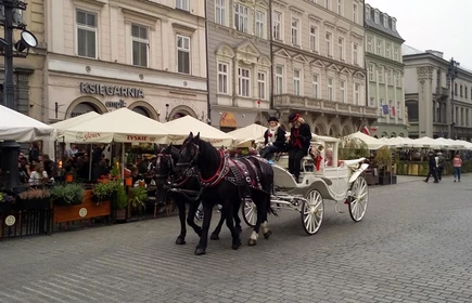 Uniwersytet Młodego Odkrywcy - galeria 7