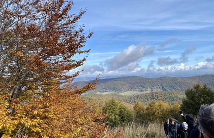 Bieszczady