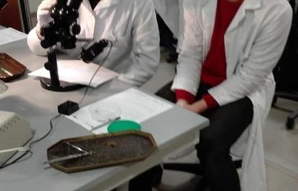 Zajęcia z biologii na UJ - galeria 6