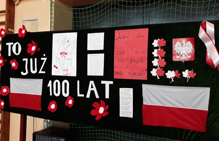 Bieg Niepodległościowy - galeria 25