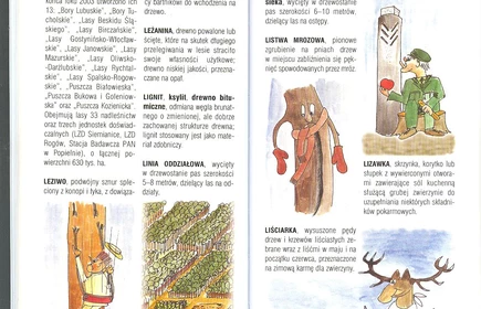 Przyroda Ziemi Bocheńskej 30