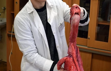 Dzień Otwarty I LO - galeria 183