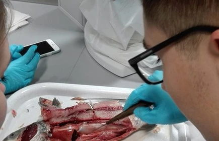 MCHE na UJ - galeria 1