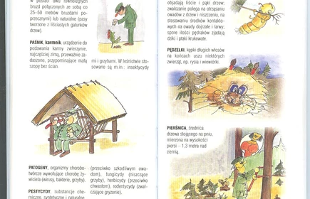 Przyroda Ziemi Bocheńskej 44