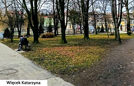 Na zdjęciu park