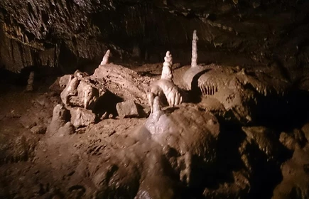 Sukces naszej drużyny w Matematycznej Lidze Zadaniowej 12