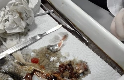 MCHE na UJ - galeria 6