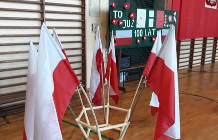 Bieg Niepodległościowy - galeria 26