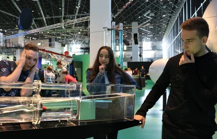 Finały Lig Zadaniowych z matematyki i języka angielskiego - galeria 8