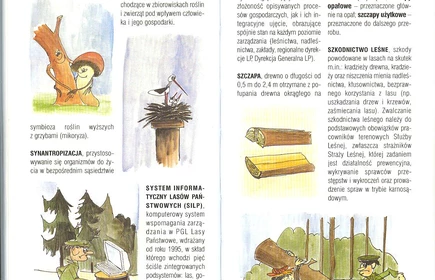 Przyroda Ziemi Bocheńskej 61