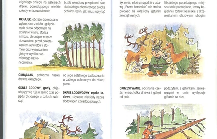 Przyroda Ziemi Bocheńskej 40