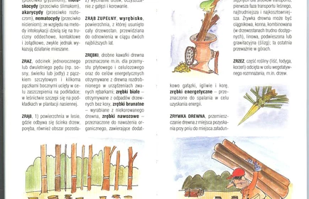 Przyroda Ziemi Bocheńskej 75