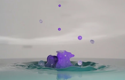 Wyr&oacute;żnienie w konkursie5