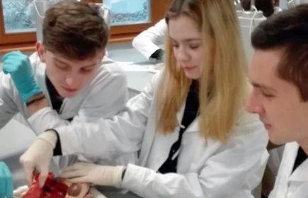 MCHE na UJ - galeria 5