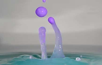 Wyr&oacute;żnienie w konkursie 4