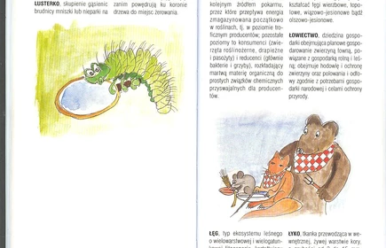 Przyroda Ziemi Bocheńskej 31