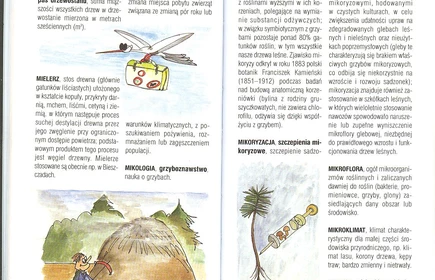 Przyroda Ziemi Bocheńskej 33