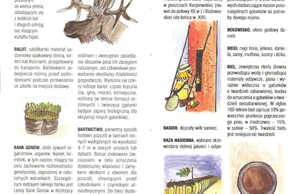 Przyroda Ziemi Bocheńskej 26