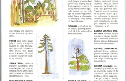 Przyroda Ziemi Bocheńskej 60