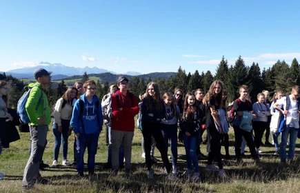 Grupowe zdjęcie na łące 