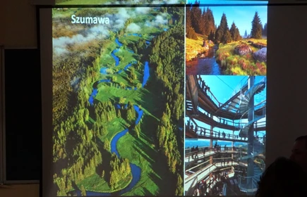 Na zdjęciu ekran projektora na kt&oacute;rym prezentowany są zdjęcia