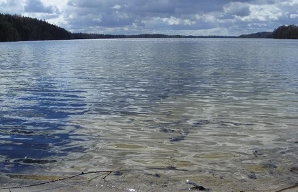 Laureat i Finalista Olimpiady Geograficznej 6